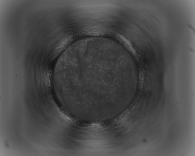 X0000092210114200710121137