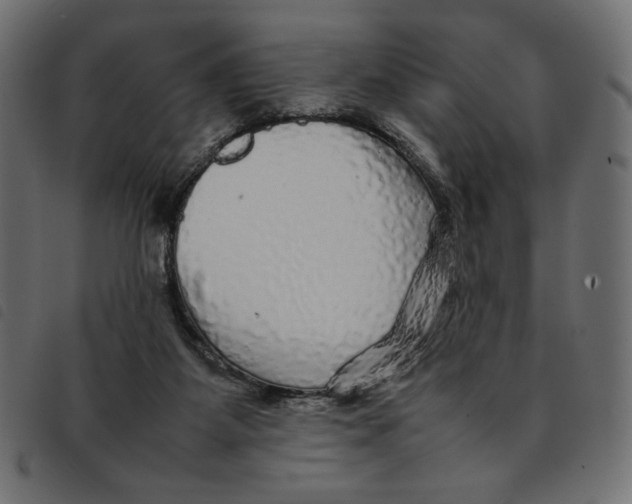 X0000092210115200710121137