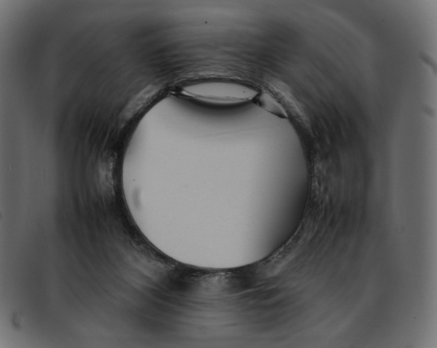 X0000092210116200710121137