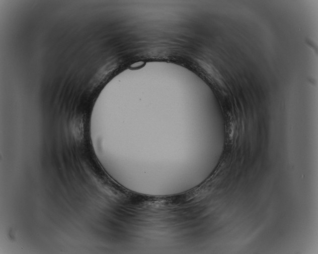 X0000092210120200710121137