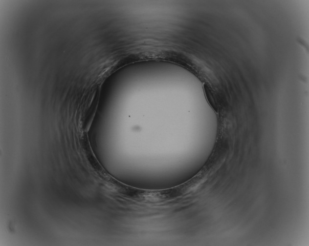 X0000092210121200710121137