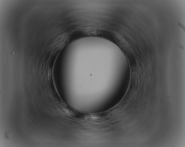 X0000092210125200710121137