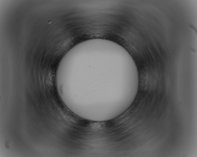 X0000092210126200710121137