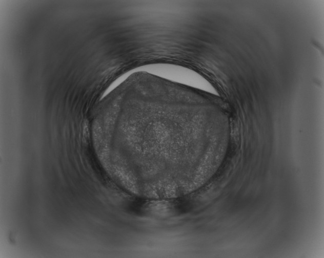 X0000092210127200710121137