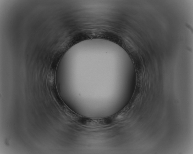 X0000092210129200710121137