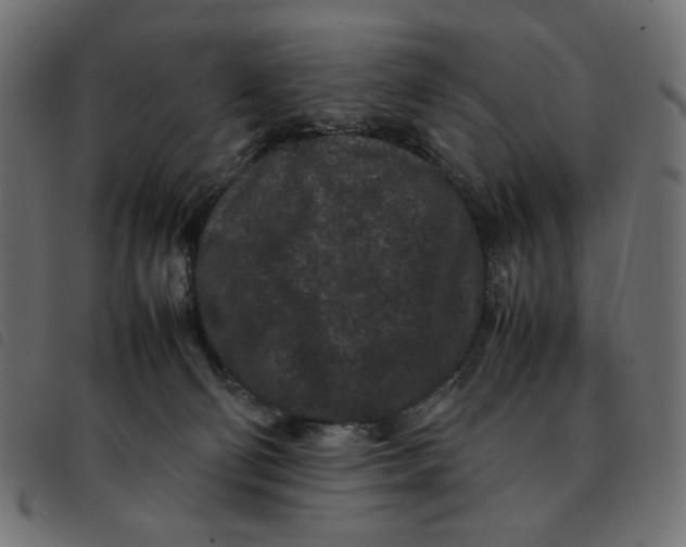 X0000092210130200710121137
