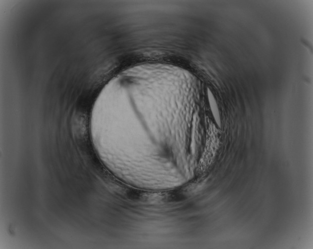 X0000092210131200710121137