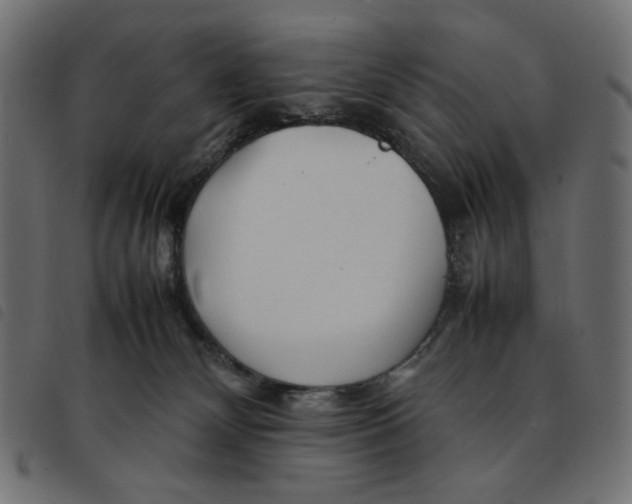 X0000092210132200710121137