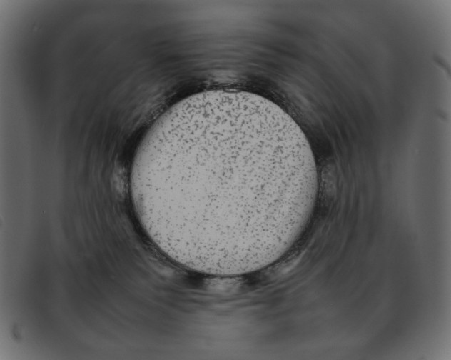 X0000092210135200710121137