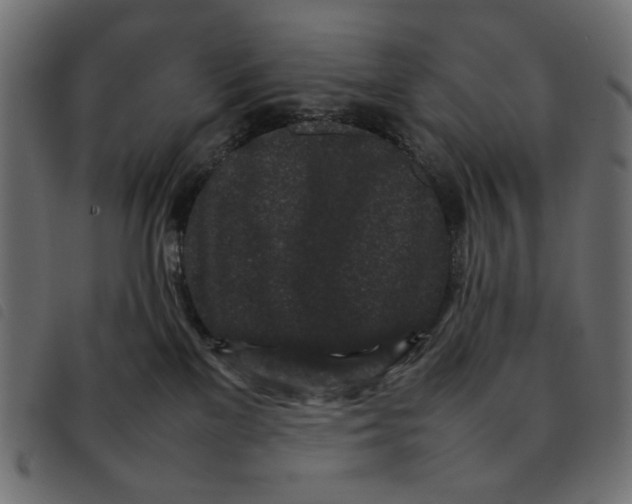 X0000092210137200710121137