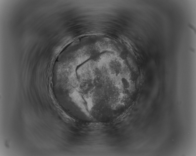 X0000092210145200710121136