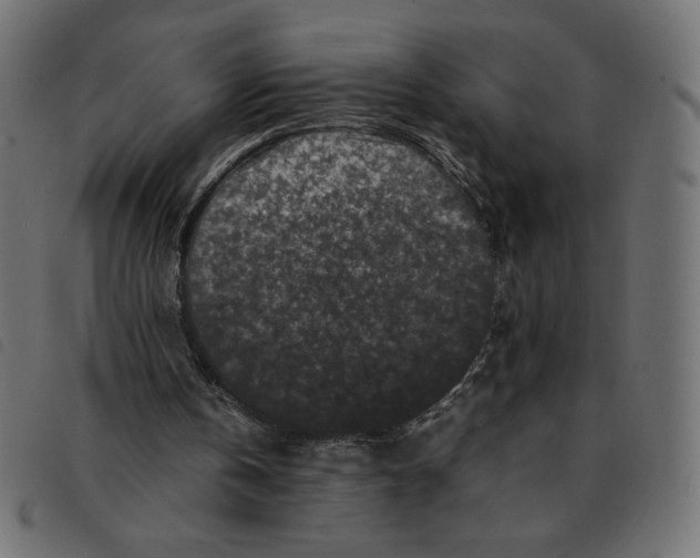 X0000092210146200710121136