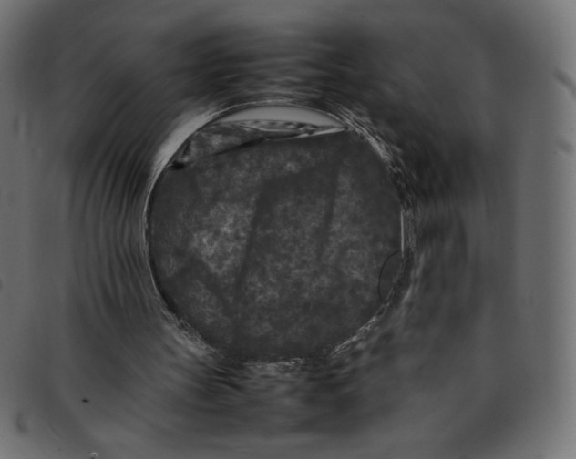 X0000092210147200710121136