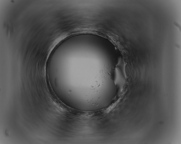 X0000092210148200710121136