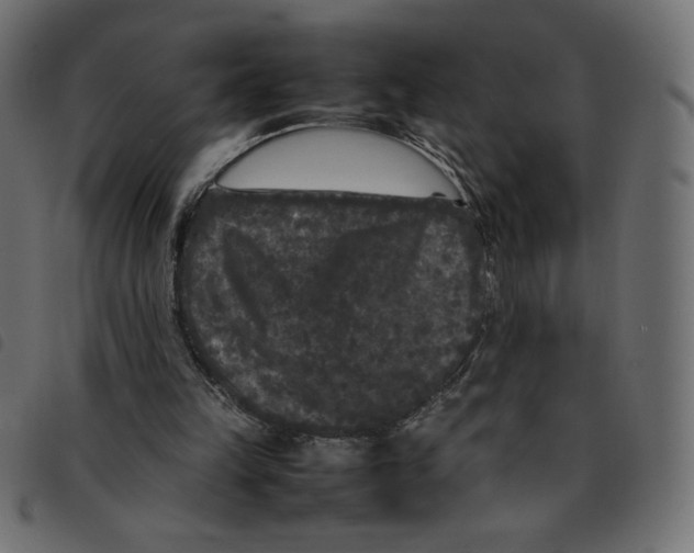 X0000092210149200710121136
