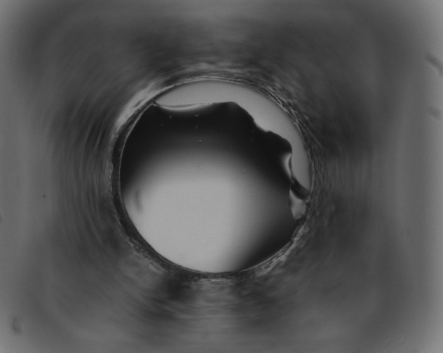 X0000092210150200710121136