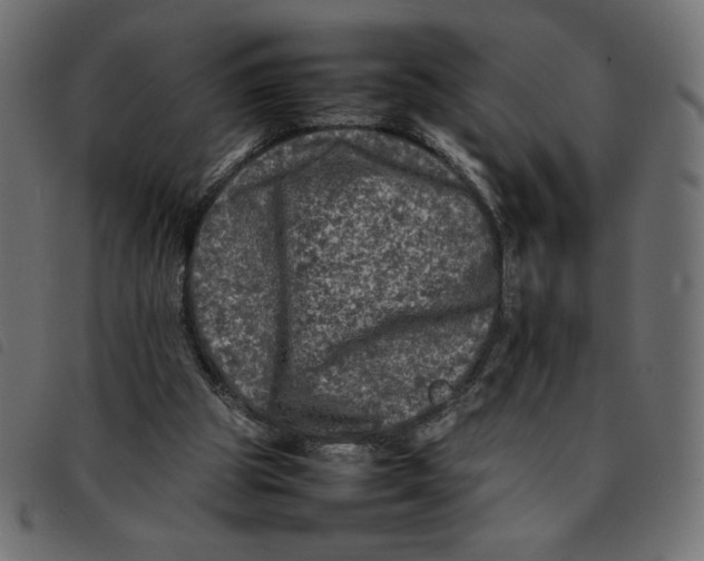X0000092210153200710121136