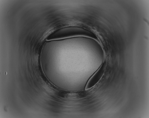 X0000092210154200710121136