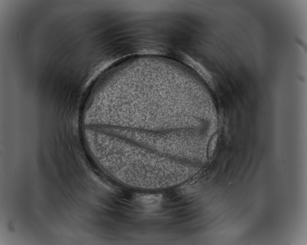 X0000092210155200710121136