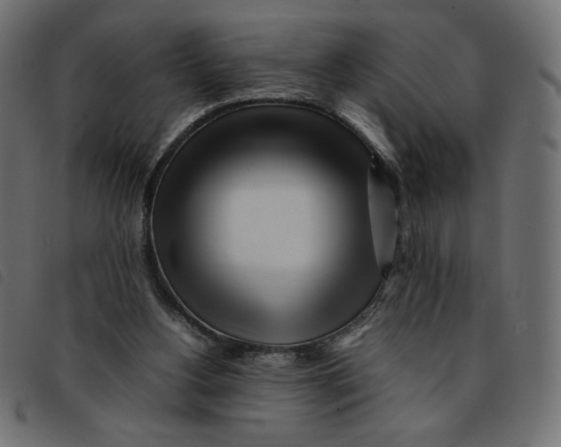 X0000092210156200710121136