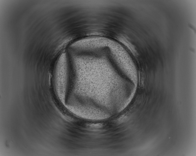 X0000092210157200710121136