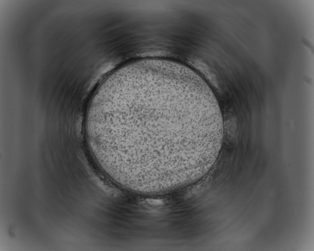 X0000092210159200710121136