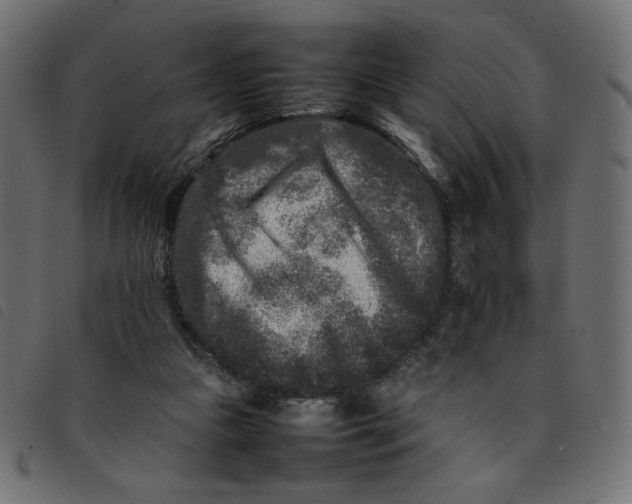 X0000092210161200710121136