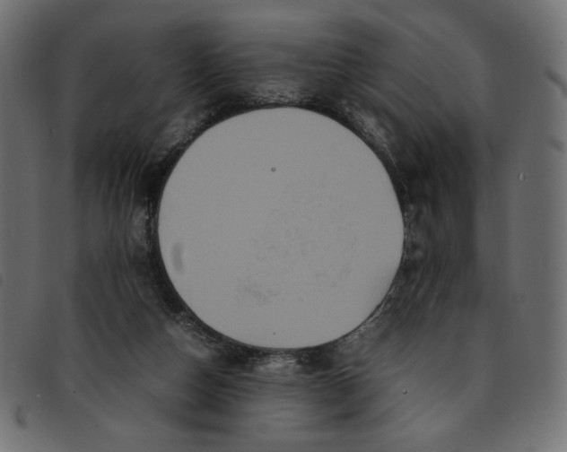 X0000092210162200710121136