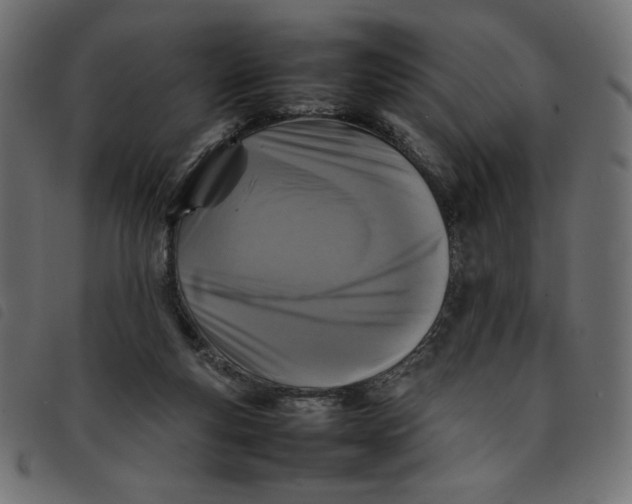 X0000092210163200710121136