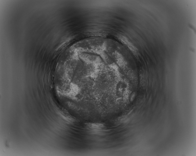X0000092210165200710121136