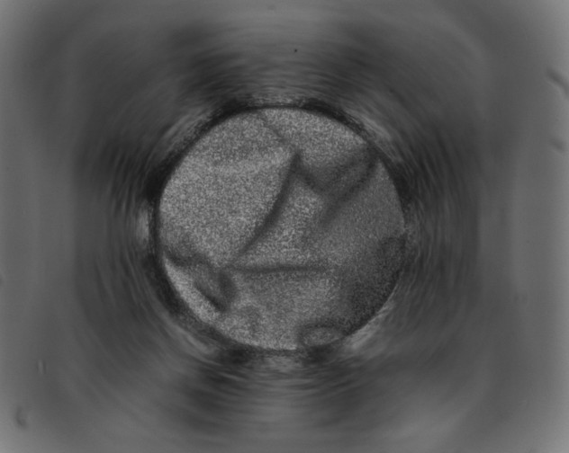 X0000092210166200710121136