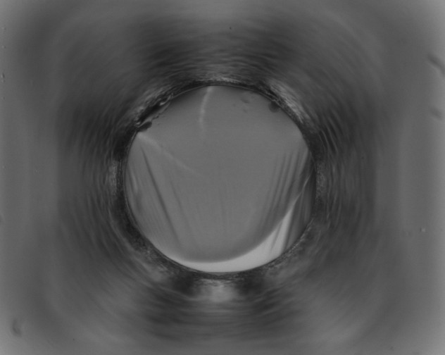 X0000092210167200710121136