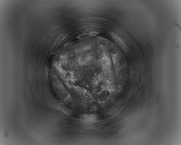 X0000092210169200710121136