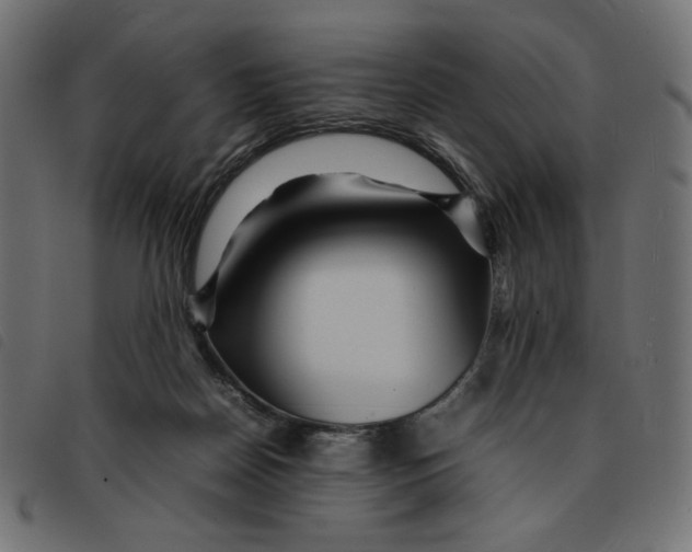 X0000092210170200710121136