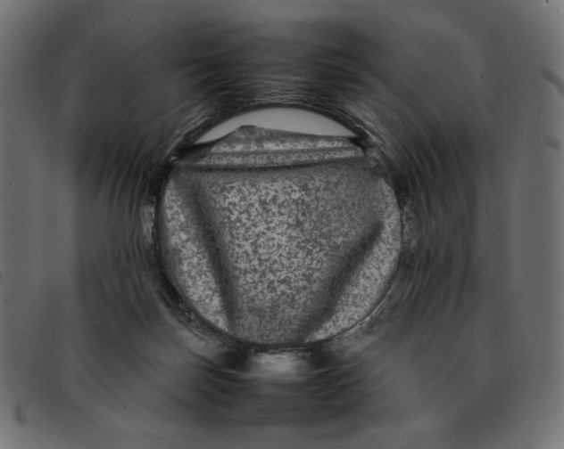 X0000092210171200710121136