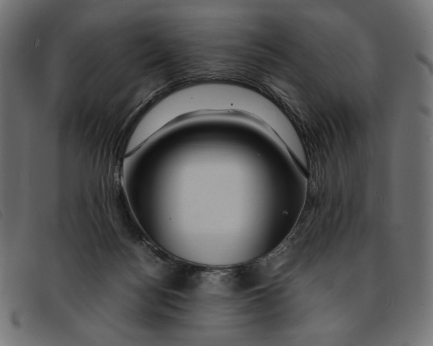 X0000092210172200710121136