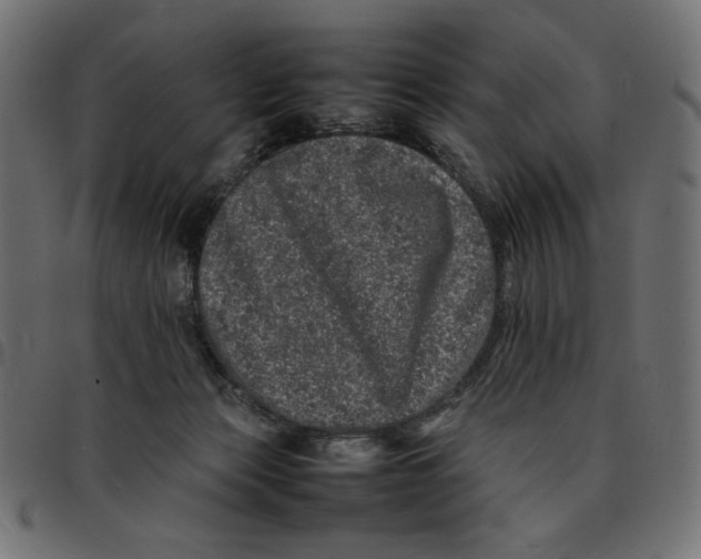 X0000092210173200710121136