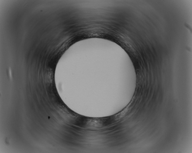 X0000092210174200710121136