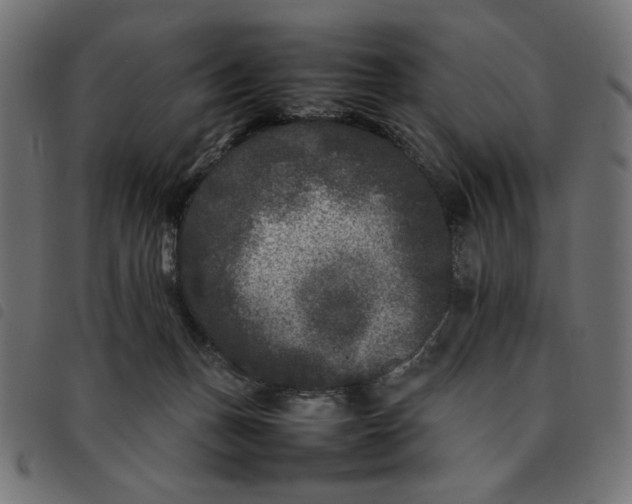 X0000092210175200710121136