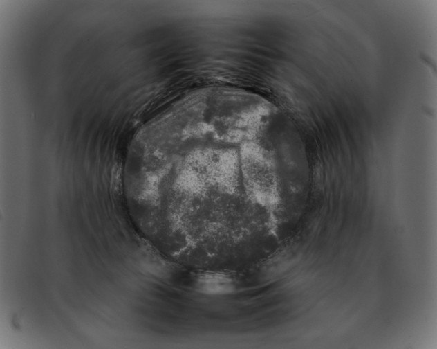 X0000092210177200710121136