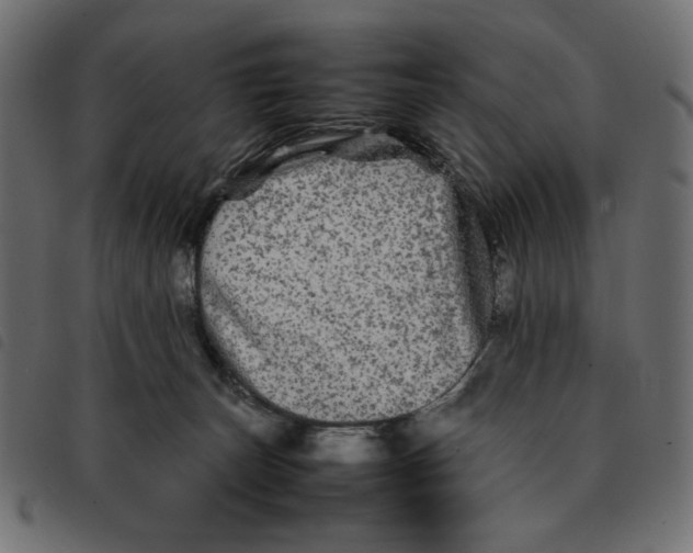 X0000092210179200710121136