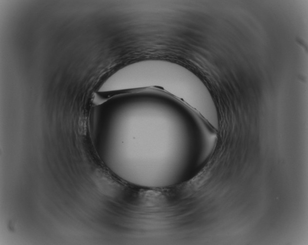 X0000092210180200710121136