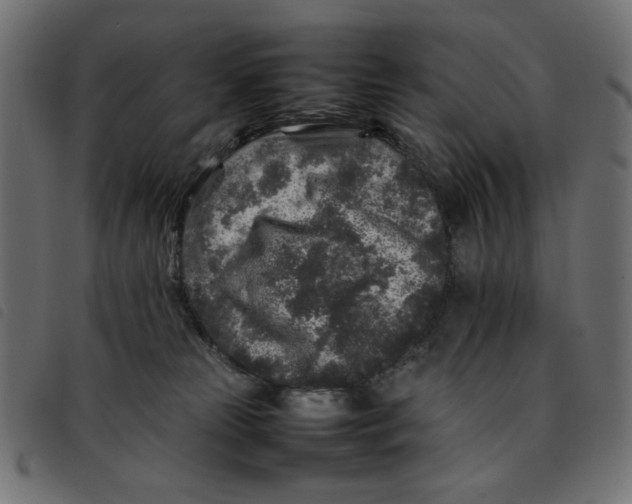 X0000092210181200710121136