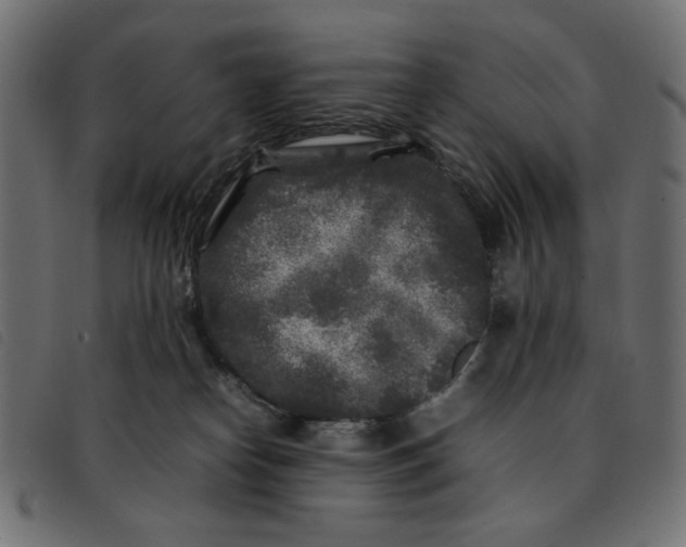X0000092210182200710121136