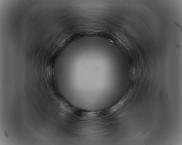 X0000092210184200710121136