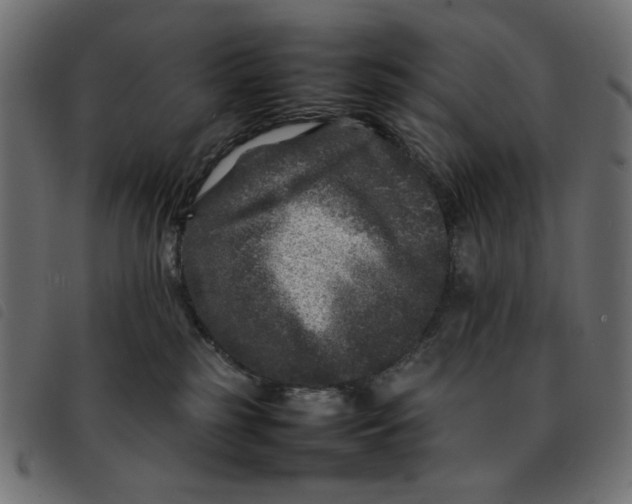 X0000092210185200710121136