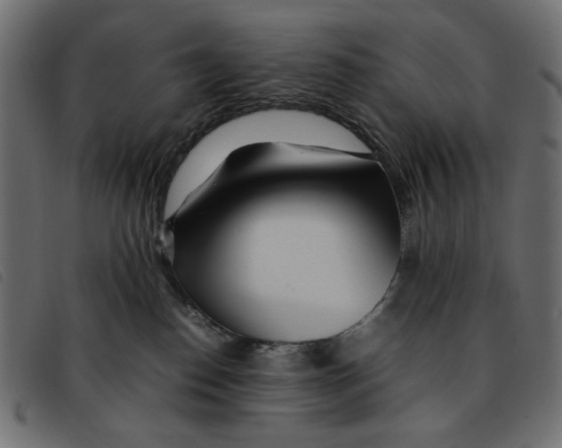 X0000092210186200710121136