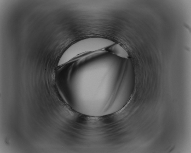 X0000092210192200710121137