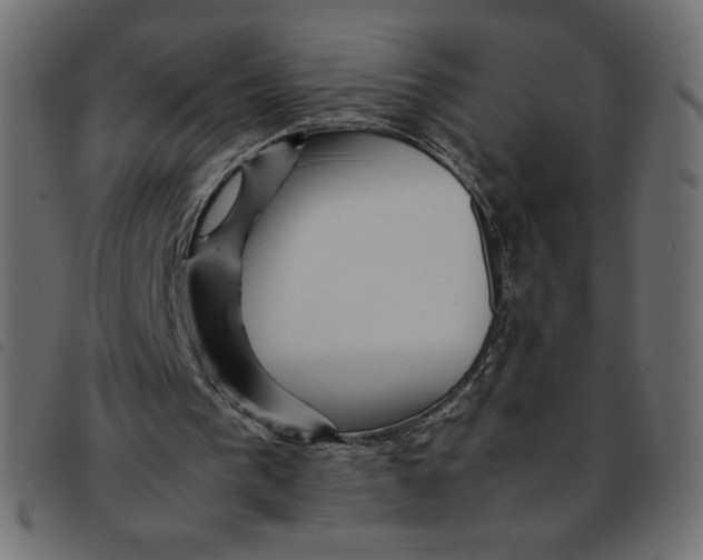 X0000092210193200710121136