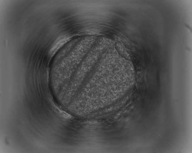 X0000092210194200710121136